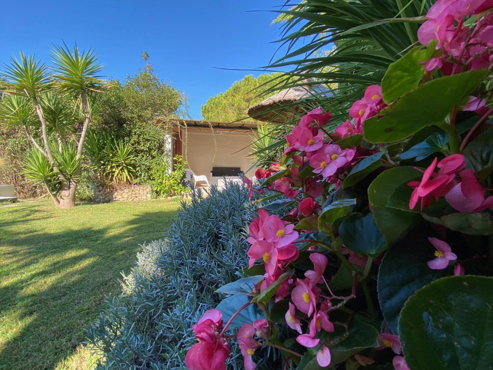 Lemodernlounge, Hebergement Cosy Moderne Spacieux Balaruc-les-Bains Dış mekan fotoğraf